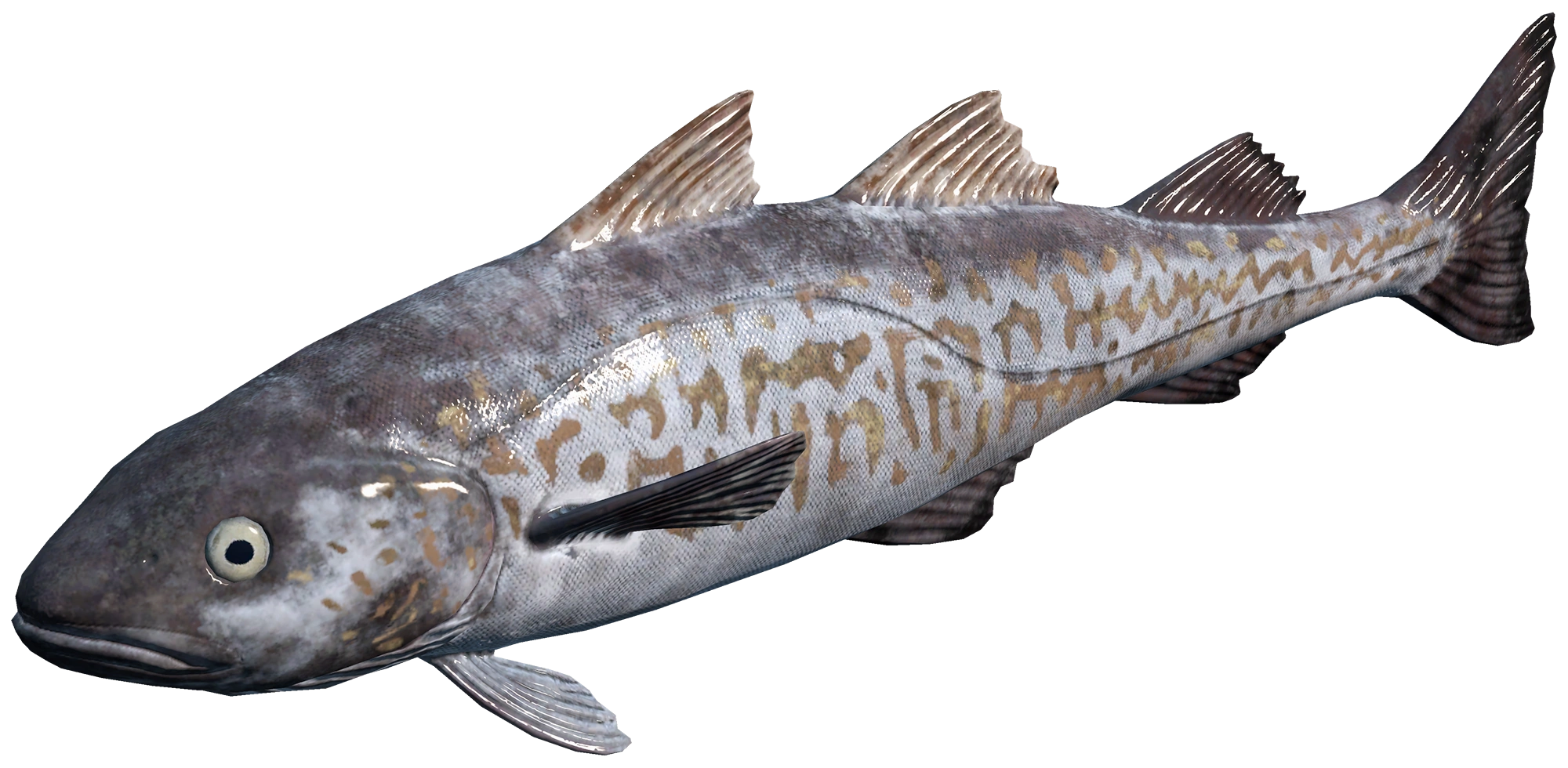 Walleye Pollock