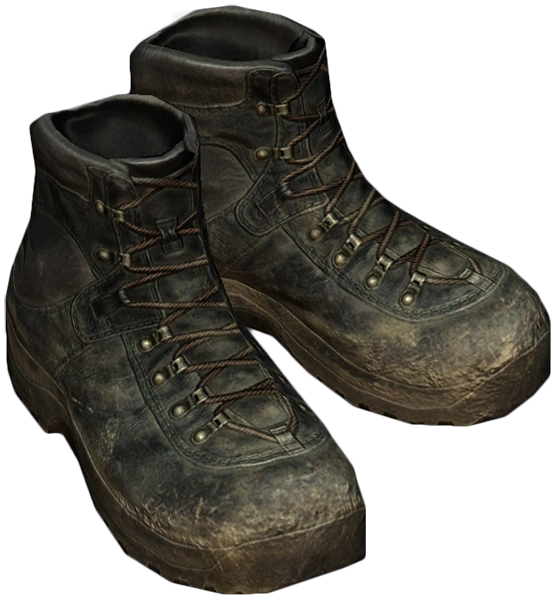 Hiking Boots