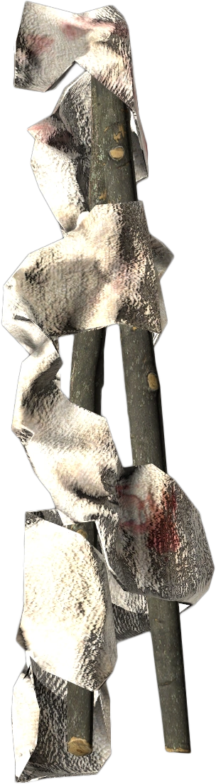 Splint